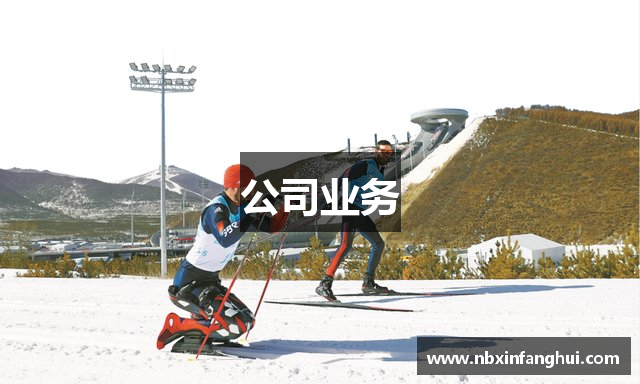 公司业务